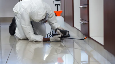 Pest Control: Why You Shouldn’t Ignore a Pest Problem in Your Home ...