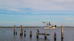 West Lafayette, IN Car Accident Lawyer | Yosha Law Firm