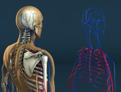 Human Resource Services For Small Business Made Simple